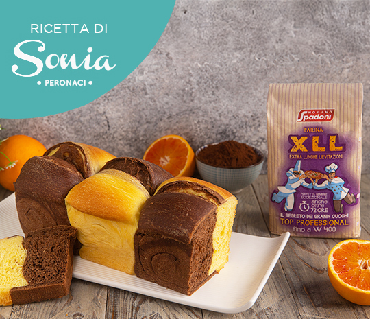 Ricetta per la realizzazione del Pan brioche bicolore con la Farina XLL – Extra Lunghe Lievitazioni Molino Spadoni e il Lievito di birra secco in granuli di Molino Spadoni.